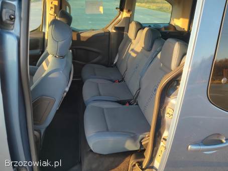 Citroën Berlingo MULTISPACE 2009