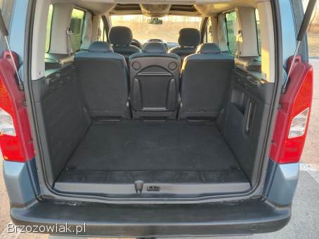 Citroën Berlingo MULTISPACE 2009