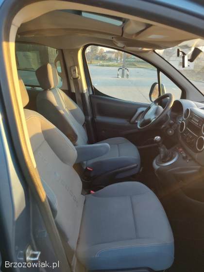 Citroën Berlingo MULTISPACE 2009