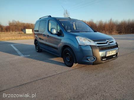 Citroën Berlingo MULTISPACE 2009