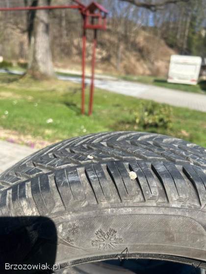 Opony wielosezonowe 204/55 r16 orium 2023