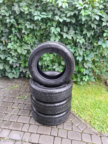 Opony letnie Austone 185/65/R15 SP-802