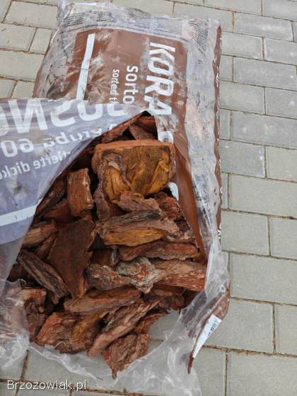 KORA s sortowana oraz zrębki sosnowe – sprzedaż hurt i detal osnowa