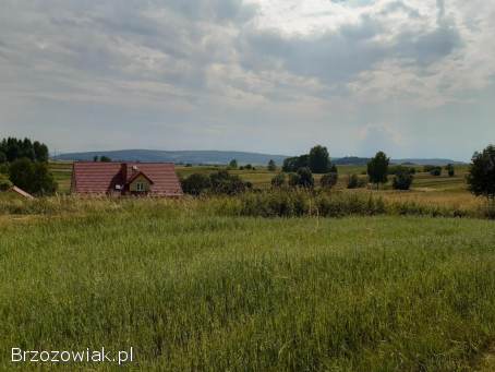 Działka pod zabudowę jednorodzinną z WZ,  28,  5 ar Srogów Górny