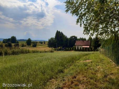 Działka pod zabudowę jednorodzinną z WZ,  28,  5 ar Srogów Górny