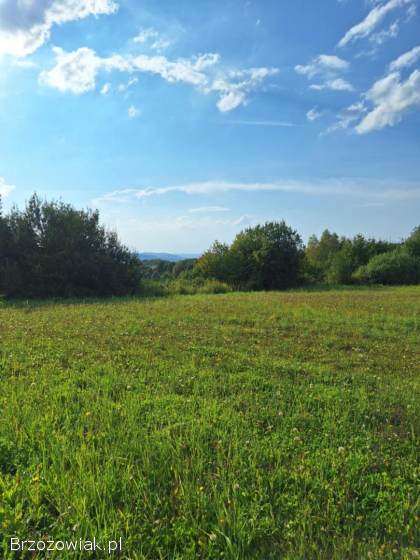 Działka na sprzedaż -  Golcowa -  27 arów