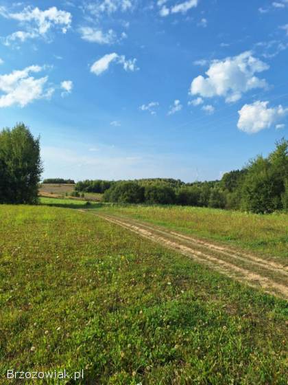 Działka na sprzedaż -  Golcowa -  27 arów