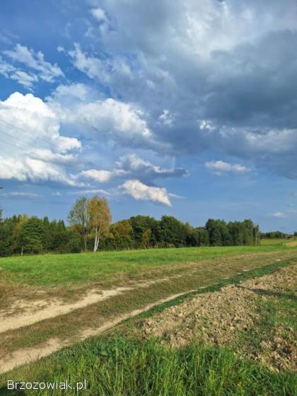 Działka na sprzedaż -  Golcowa -  27 arów