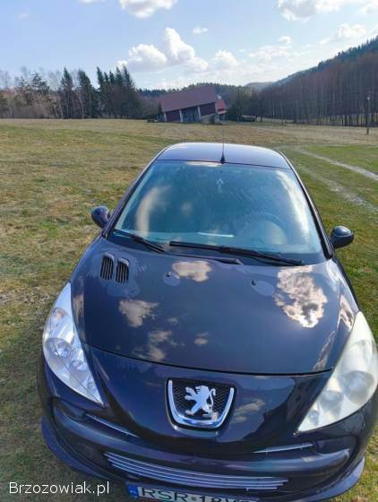 Peugeot 206 plus 2010
