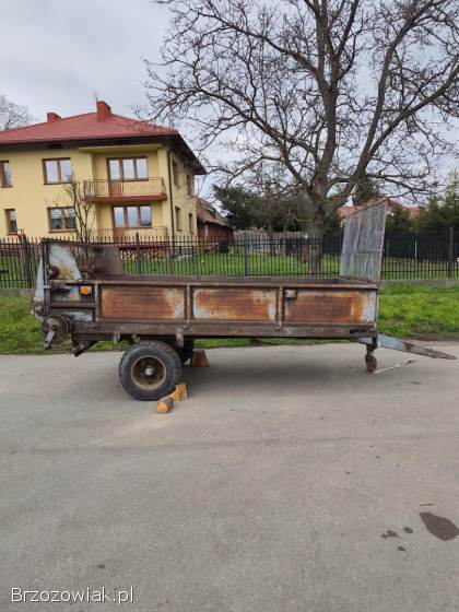 Rozrzutnik