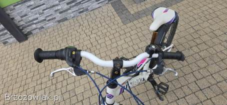 Rower Unibike Mimi 20 cali