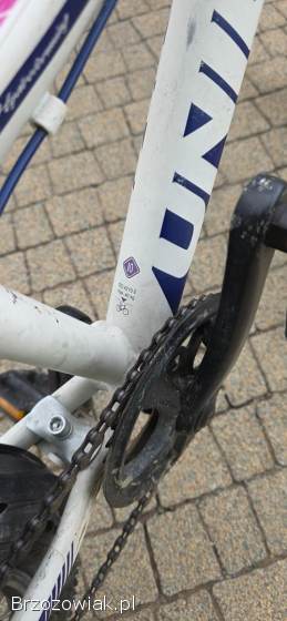 Rower Unibike Mimi 20 cali