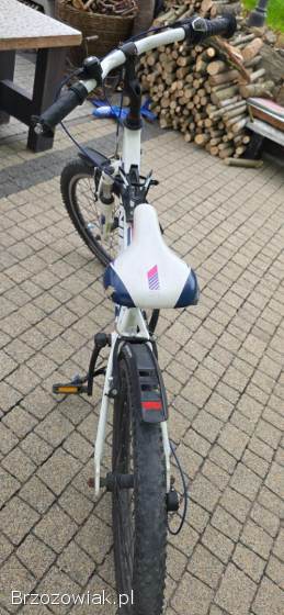Rower Unibike Mimi 20 cali