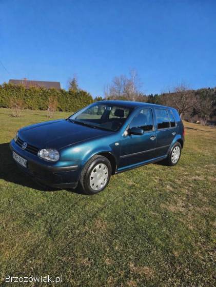 Volkswagen Golf IV 2002