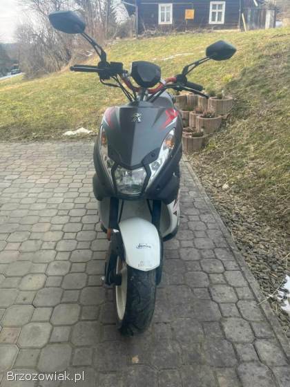 Peugeot Kisbee 2017