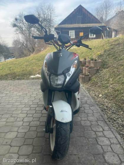 Peugeot Kisbee 2017