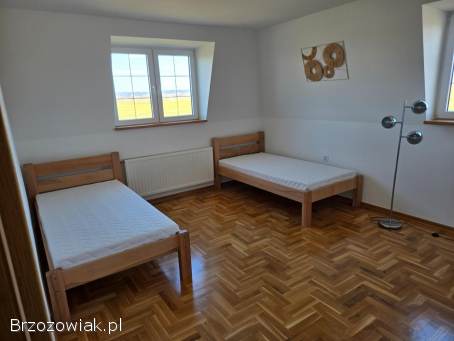 Noclegi,  pokoje do wynajęcia