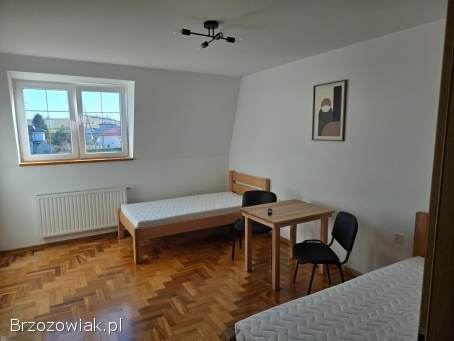 Noclegi,  pokoje do wynajęcia