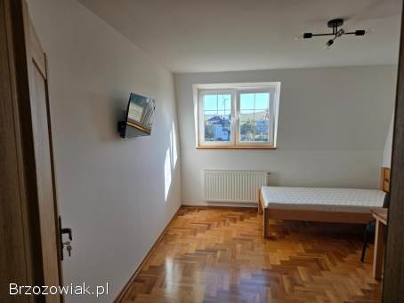 Noclegi,  pokoje do wynajęcia
