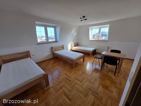 Noclegi,  pokoje do wynajęcia