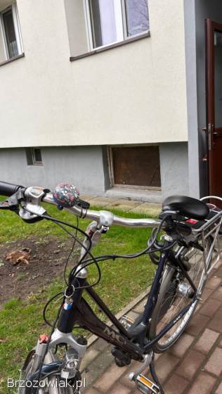 Holenderski Rower Elektryczny