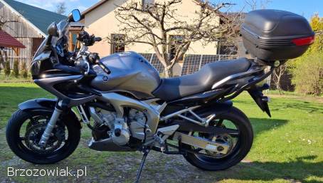 Yamaha FZ 2005