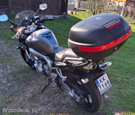 Yamaha FZ 2005