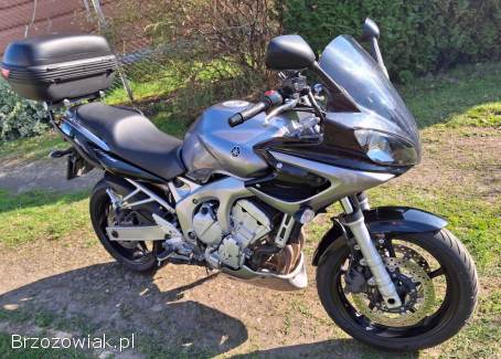 Yamaha FZ 2005