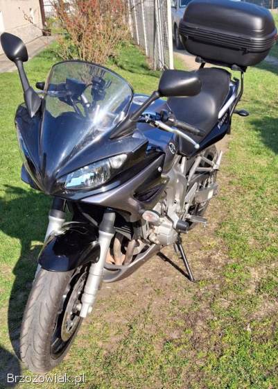Yamaha FZ 2005