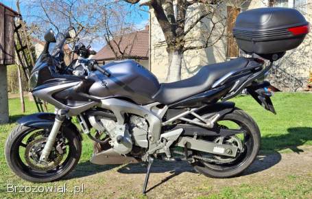 Yamaha FZ 2005