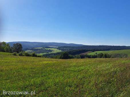 Sprzedam działkę