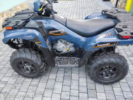 Kawasaki brute force 750