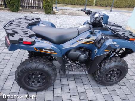 Kawasaki brute force 750