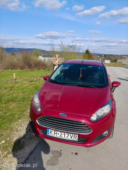 Ford Fiesta 1.  0 Ecoboost  2013