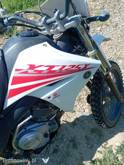 Yamaha XTX 2004