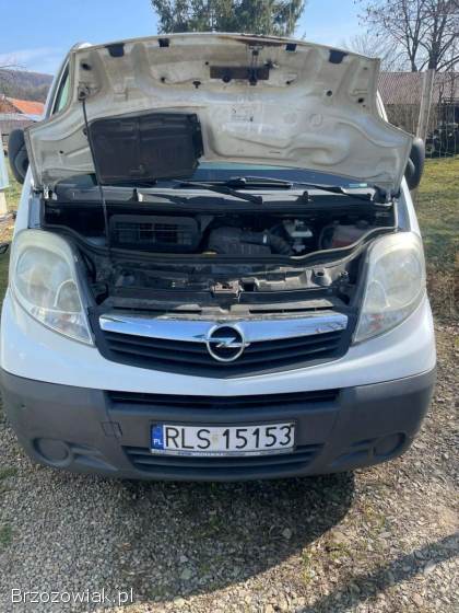 Opel Vivaro 2.  0 L2H1 2009 • 243 tys.  km • po dużym serwisie •