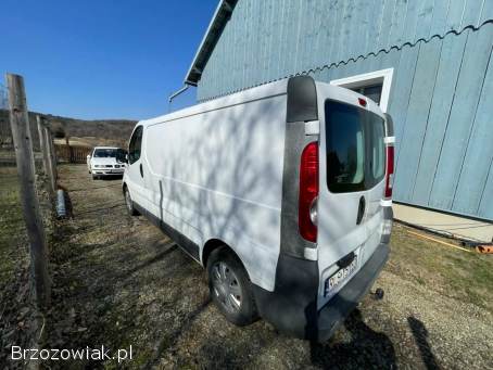 Opel Vivaro 2.  0 L2H1 2009 • 243 tys.  km • po dużym serwisie •