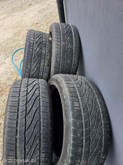 Opony Paxo 2020 rok 225/50 R17