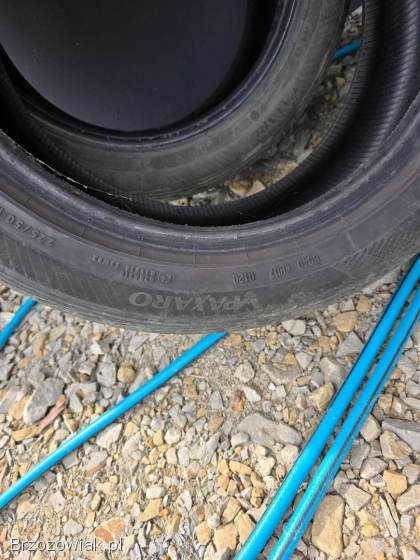 Opony Paxo 2020 rok 225/50 R17