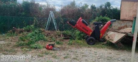 WYCINKA DRZEW,  FREZOWANIE PNI,  KOSZENIE TRAWNIKÓW,  UTRZYMANIE ZIELENI