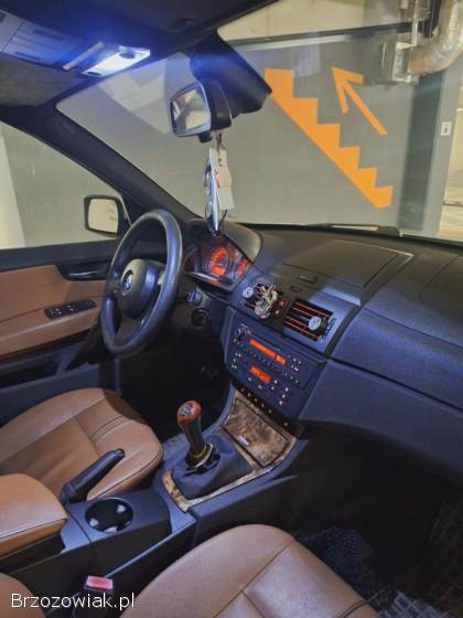 BMW X3 E83 2006