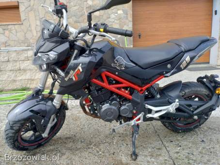 Benelli TnT 2018