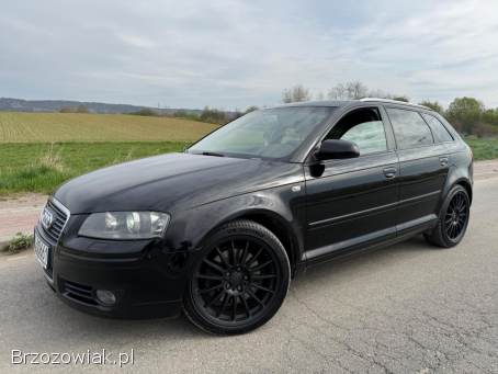 Audi A3 2.  0TDi 170km 2006