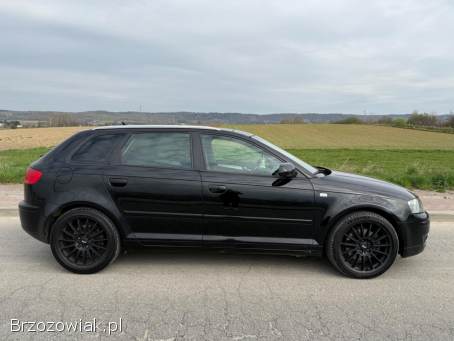Audi A3 2.  0TDi 170km 2006