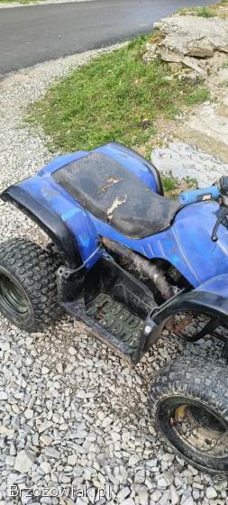 Quad 125 hummer