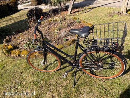 Rower batavus