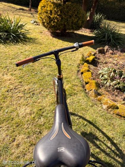 Rower batavus