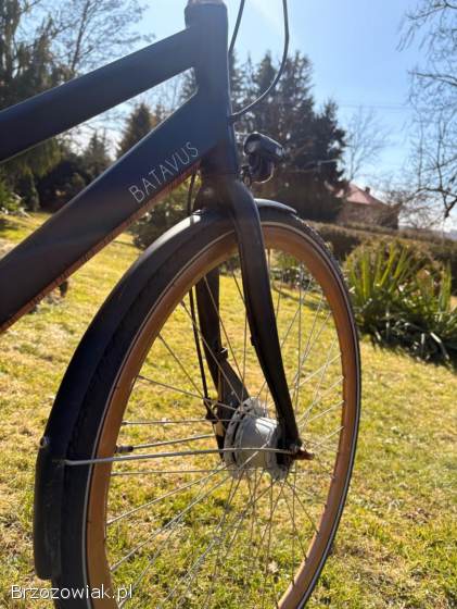 Rower batavus