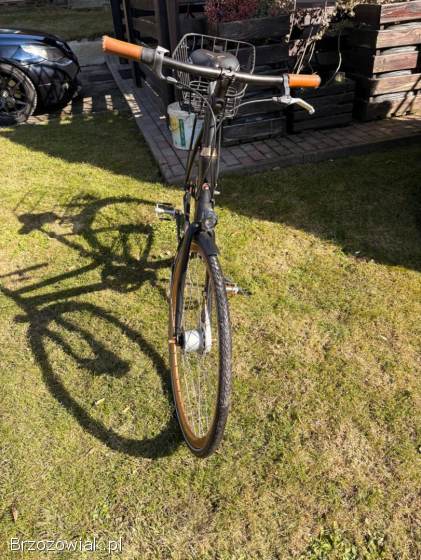 Rower batavus