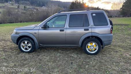 Land Rover Freelander 2001